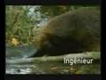 videos de Suez environement Dance, Dance, Dance