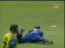 Best Cricket Catch Ever Best Cricket Catch Ever