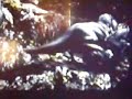 Click here to watch this video king kong part gaduh ngan dinasor !!!