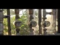 BioBox BioBox