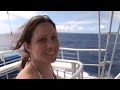 The Maui Whale Experience The Maui Whale Experience