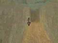 Tomb Raider Speedrun Level 12-Sanctuary of the Scion Part 2
