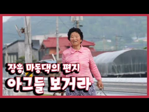 [남도지오그래피] 아그들 보거라, 장흥 마동댁의 편지 / KBS 광주