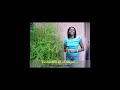 http://www.paisageo.com Las orquideas que les muestro aqui en Paisageo son hijas de un cruce entre dos orquideas dendrobium de colores diferentes. He subido las fotos de ambas aqui a Paisageo para que veas la belleza de las flores que obtuve. El cuidado de estas orquideas lo comentaremos en otro video.