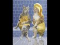صور قطط مضحكه مع النغمة