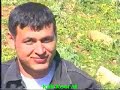 kak kosrat kak kosrat