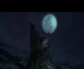 Devil May Cry custon 06