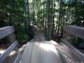 Whislter Bike Park Helmet Cam - Freight Train