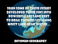 DEVONIAN PERIOD - free flv video @ vwatch.tv