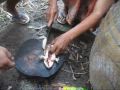 Frog Soup in Rural Thailand طرز تهيه سوپ قورباغه - غذاي محلي روستاهاي تايلند