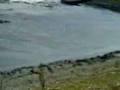 videos de Planta tlahuac segunda parte