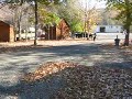 Tellico Camper Wheelie (Fuzzy Beaver Rally)