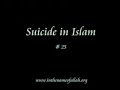 Idiots Guide to Islam 25 Idiots Guide to Islam 25