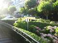 videos de Driving down the crooked street