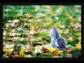 Play & Win - Wonderful life [ versuri ]