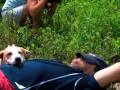 videos de A Talent for Quiet