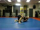 Jiu Jitsu vs Wrestling