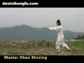 wudang taichi -13 form wudang taichi -13 form