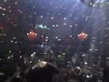 20070401 axwell 09 finally roadkill [www homeofmusic com]