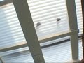 屋根の上のララちゃん♪ lala
