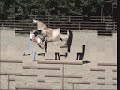 NVS MIDAS & LISA HORNING - BRIDLELESS DEMO NVS MIDAS & LISA HORNING - BRIDLELESS DEMO