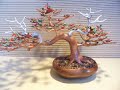 Bonsai Tree Sculpture #63 by Jim Shull