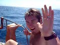 Dolphins and Whales on Steve Jenkin\ Dolphins and Whales on Steve Jenkin\