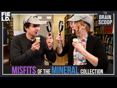 Misfits of the Mineral Collection