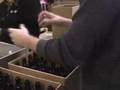 Daylight Dies - absinthe, brewing beer, fire