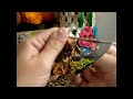 Croche - Roseta Circular
