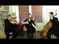 Afton Strings: Music for ceremonies