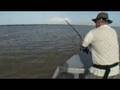Tarpon Sport Fishing Costa Rica 2007