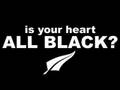 Rugby All Blacks