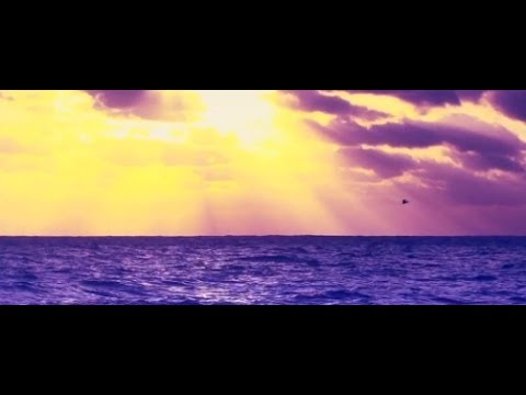 Big Gigantic - The Night is Young Feat. Cherub (Official Video)