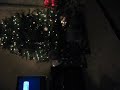 Sorry about the angle...and Daddy talking the WHOLE time!! This video was taken about 1 week and a half ago and boy, has he taken off since then!