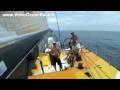 Friend or Foe? (16/12/08) - VOLVO OCEAN RACE 2008/9
