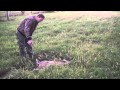 View Video