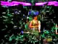 tmb-at-seacrets.html