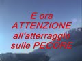 PARACADUTISMO - Lancio del Tigre sopra le pecore in svizzera - www.milancio.com