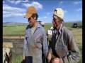 Dirty Jobs: Docking Sheeps Castrate Testicles with Teeth