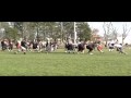 SEB vs. Goon Squad
