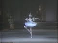 Blue Bird Pas de Deux Sleeping Beauty Bolshoi in the 70-ties
