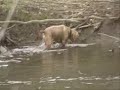 fishing with my dog leo kottke