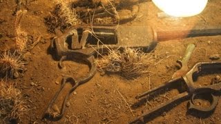 Κρανίο 300.000 χιλιάδων ετών με μια τρύπα από σφαίρα; [Βίντεο].