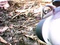 atc 2000 paintball in game footage at delta force