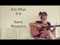 It Is What It Is  lyrics