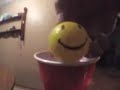 Beer pongs shots