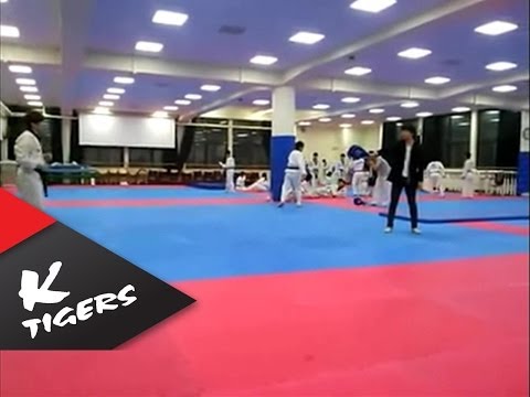 1080 - K-Tigers -Kwon Young-in 1080 degree Kick 1080도 돌려차기 - 권영인 네이버 검색창에 'k타이거즈' K-Tigers official page : www.facebook.com/koreantigers Taemi official page : www.f...