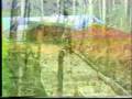 VIDEO - O VÔO NOS GARIMPOS DA AMAZÔNIA - Autor: Luiz J. Mendonça