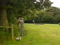 13.2 hh skewbald mare for sale 13.2 hh skewbald mare for sale